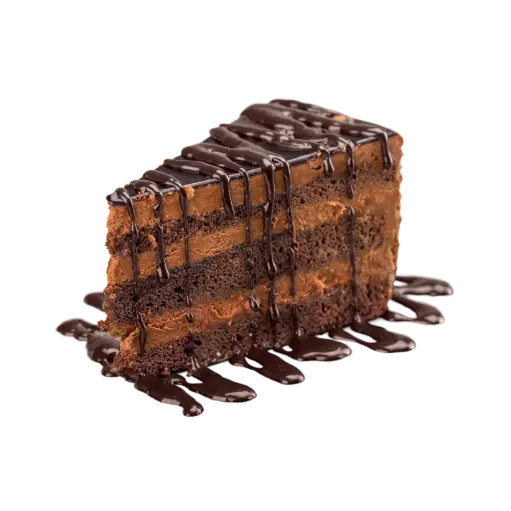 [2825] Castle Chocobase